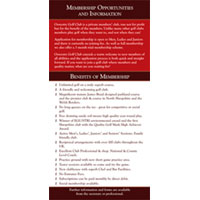 One of a series of flyers that use similar shades of different colours to unify the branding while maintaining a clear distinction between each flyer when viewed from a distance in a full display rack.