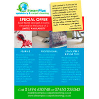 Make your offers stand out on your flyers. And give testimonials more authenticity by using a handwritten font.